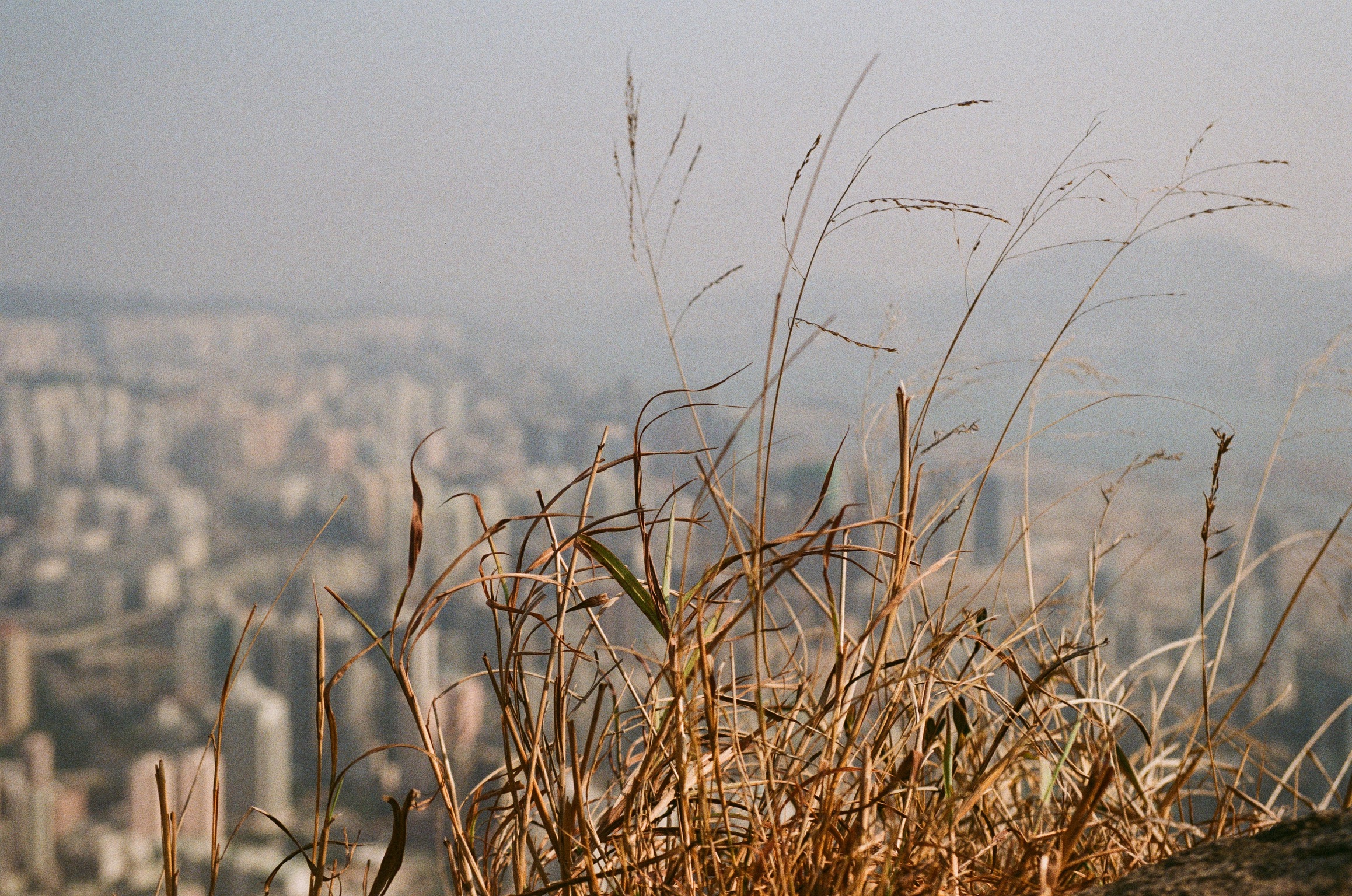 Kodak GOLD #3